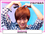 mc-ninive
