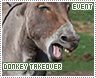 donkeytakeover